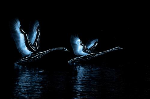 Eric Mol - Clubuitje Amsterdam Light Festival - 5